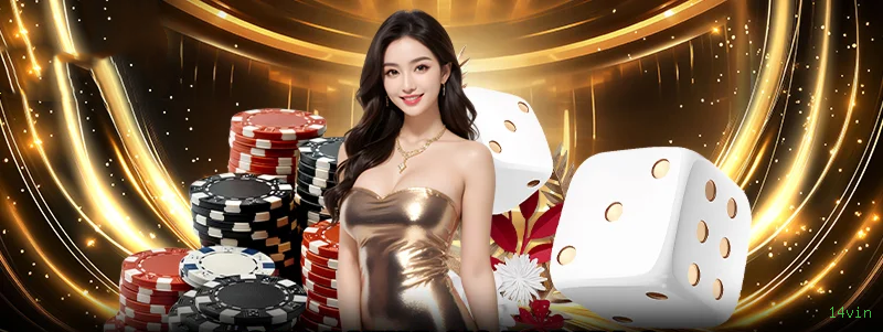 Login 14vin
